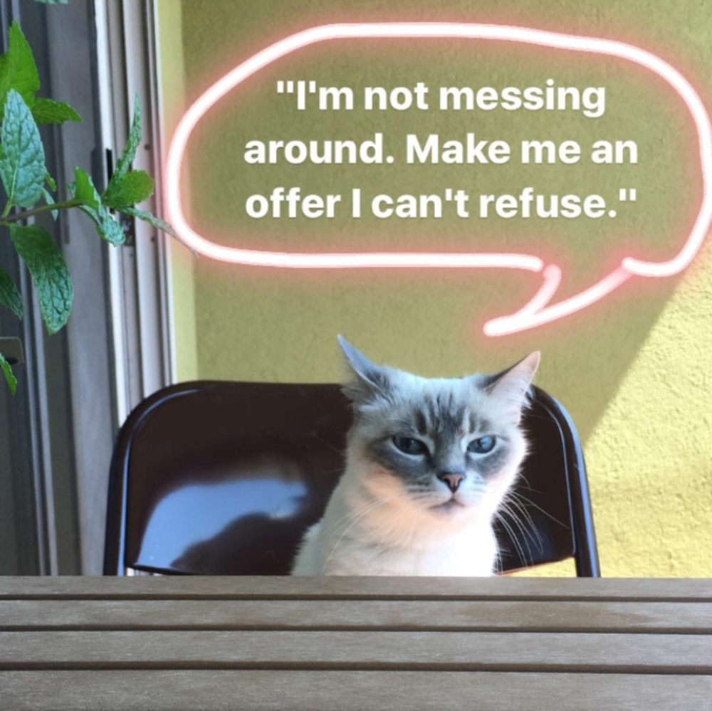 Make an offer!